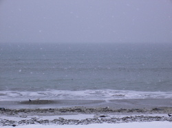 鱒浦海岸